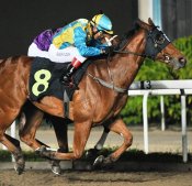 Imacruiser<br>Photo by Singapore Turf Club